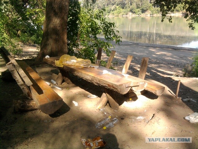 19 откровений покупателя