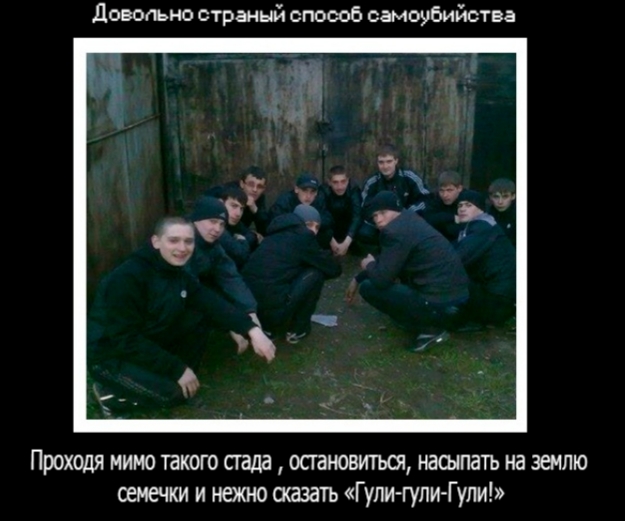 Завалялось тут случайно немного забавных картинок