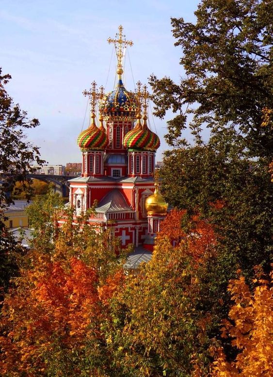 Прикольные и просто красивые картинки 22.10.2024