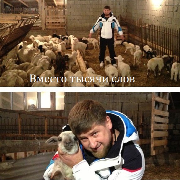 Тимати летал на завтрак к брату в боевом вертолёте