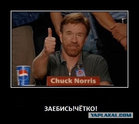 Кавказцы - геи