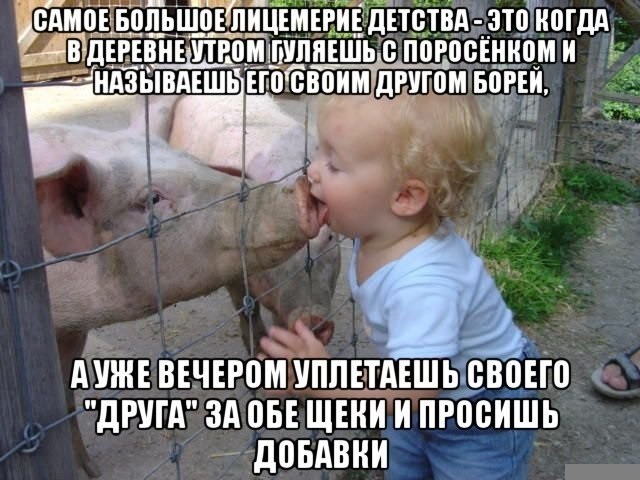 Пора деградировать. Дичь