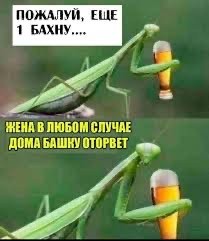 Такая вот..