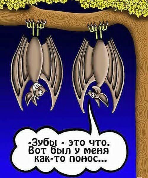 Маленькая пятница 17.09