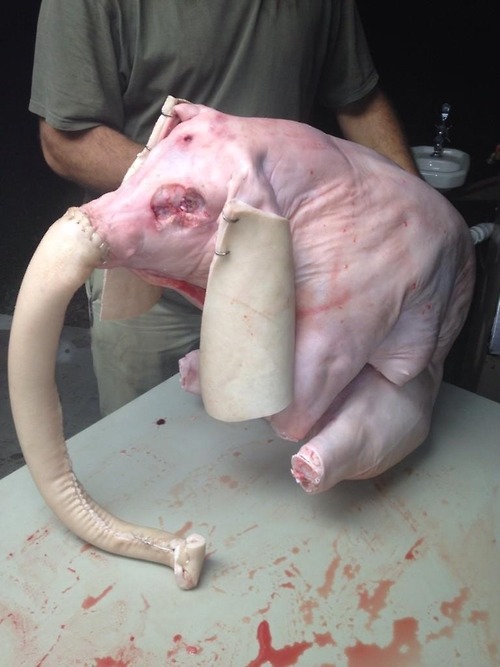 Воскресные картинки