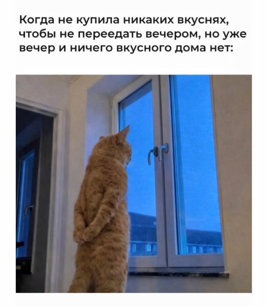 Четверговые картинки