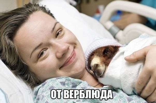 Картинки для улыбки