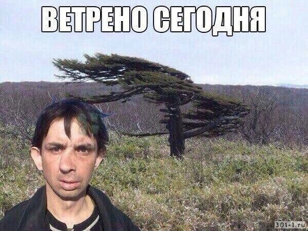 Хозяева пишут всё хорошо, собачка норм кушает