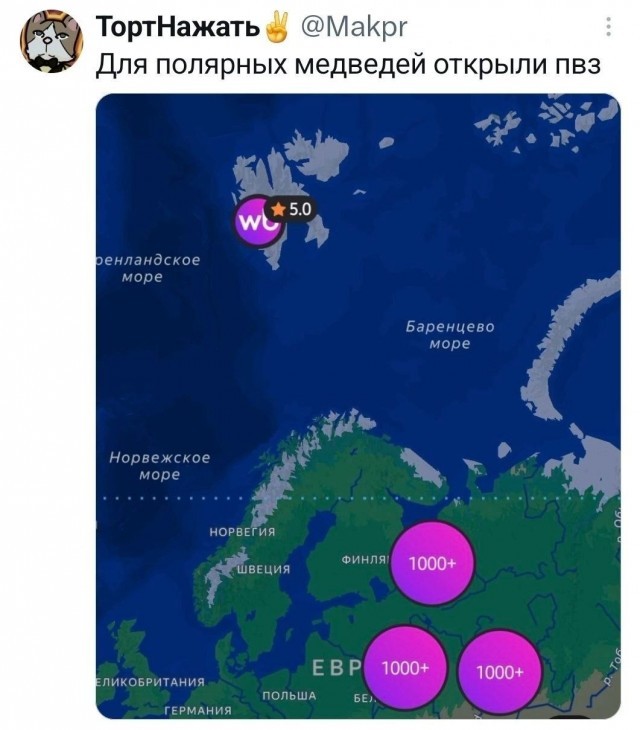 Картинки из Хвиттера