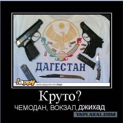 Дагестанские приколы картинки