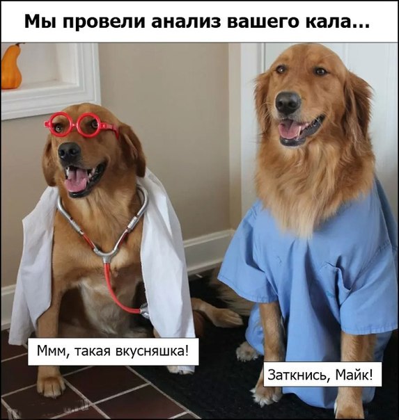 Позитивные картинки и комментарии.