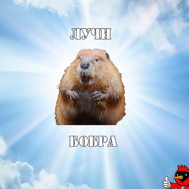 Когда вы плюсуeтe тему в платине