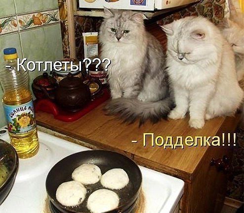 Немного позитива на пятницу.