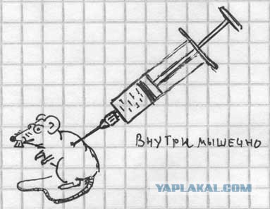 Неологизмы