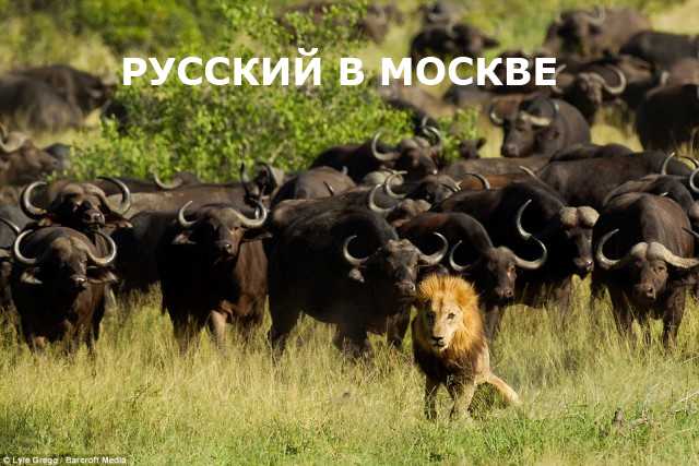 Лёва зашел не в тот райончик.