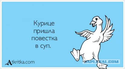 Картинки из интернетов