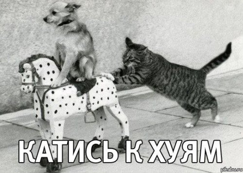"Балтика" приостановила производство пива