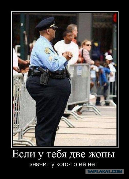 Весёлое из сети