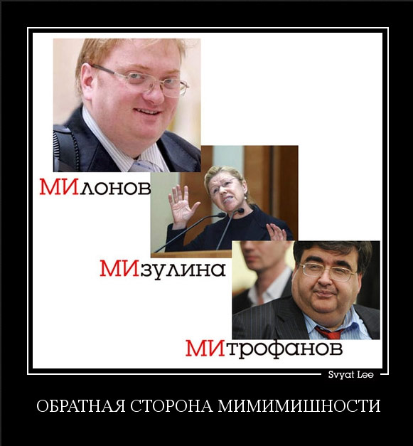 Проверить депутата В.В. Милонова