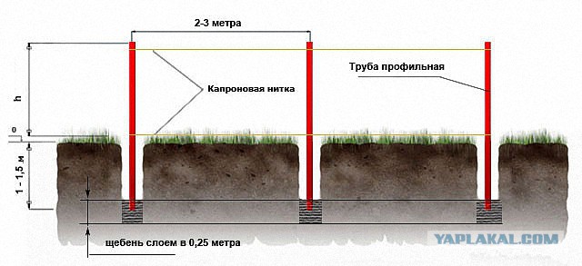 рукожопство