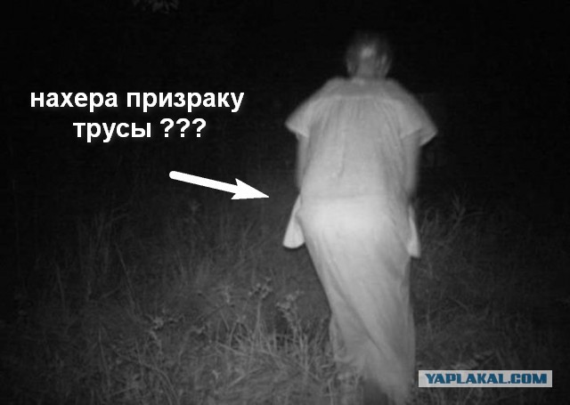 14 самых жутких кадров с охотничьих камер