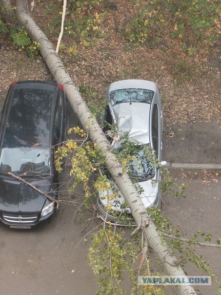 Последствия сильного ветра 3.10.2015