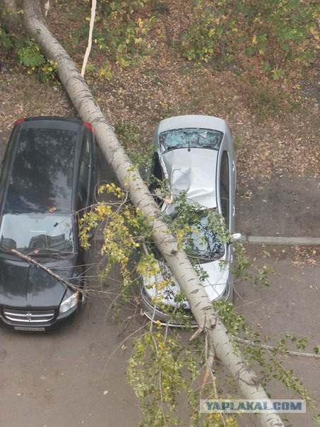 Последствия сильного ветра 3.10.2015