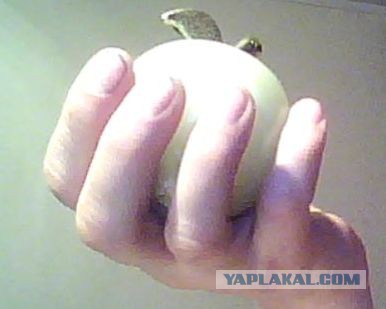 Общество любительниц мужских рук