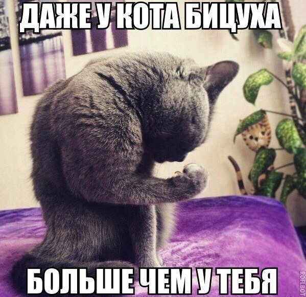 Картинки на пятницу