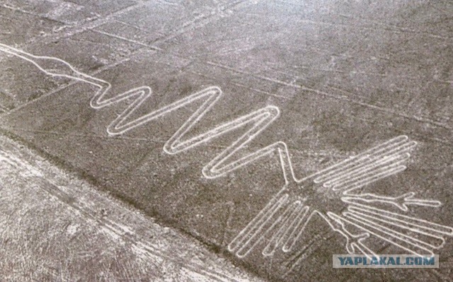 Отчет о путешествии в  Перу