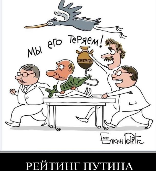 Свежий Ёлкин