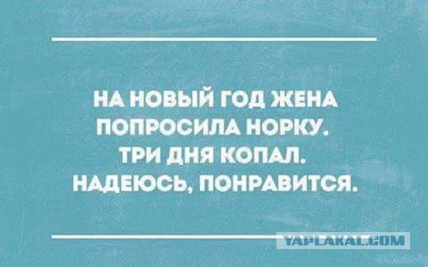 Подборка прикольных картинок