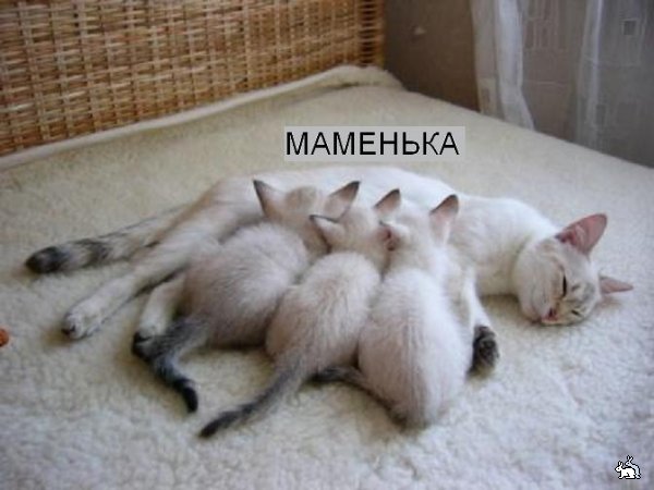 Дозаправка в воздухе