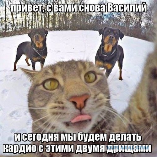 Абсурдный юмор ч.7