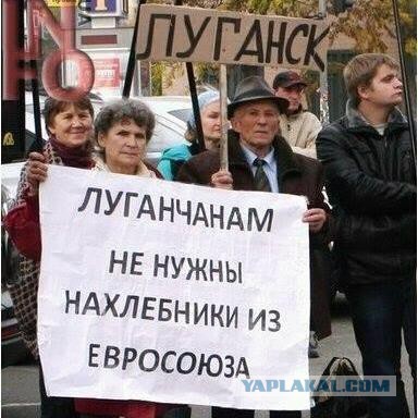 Янукович хочет вернуться на родину как президент