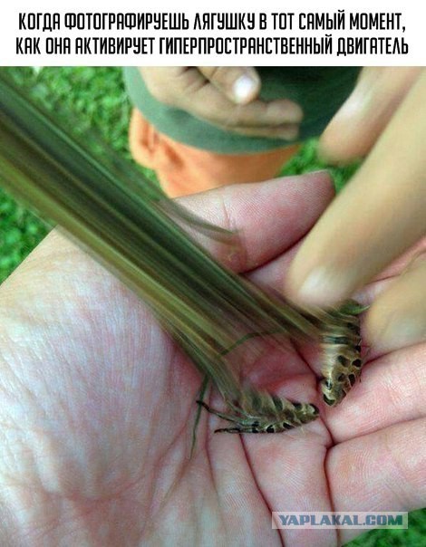 Просто и по-русски о гравитационных волнах