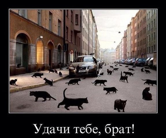 Подборка картинок на среду