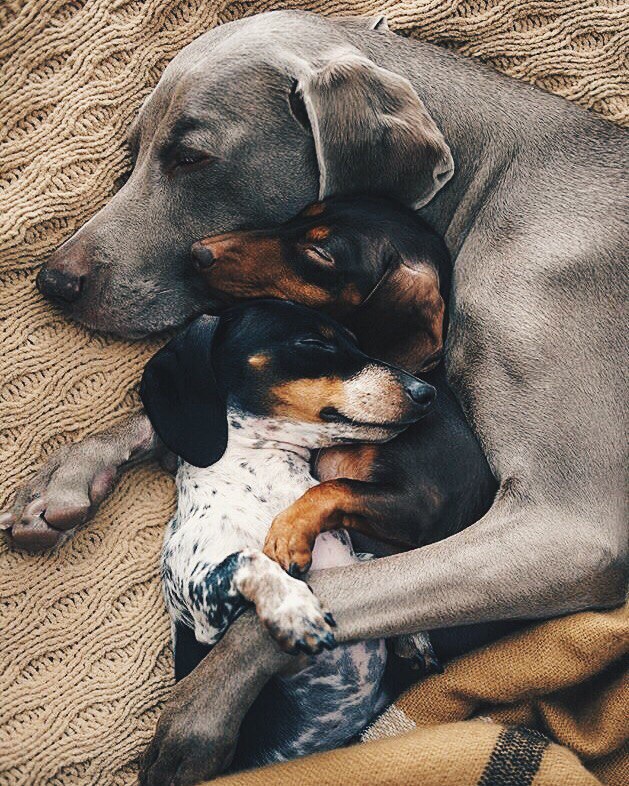 Подборка интересных и веселых картинок