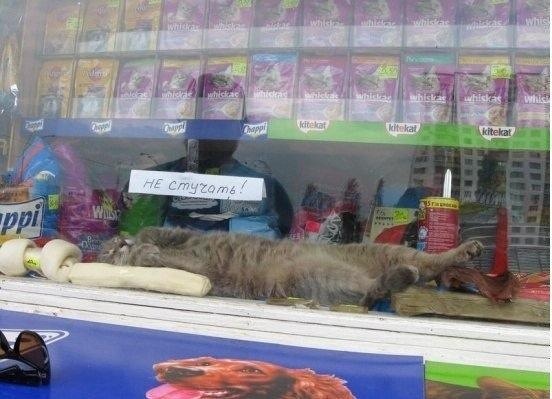 Улыбнемся?