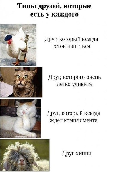 Интересные и веселые картинки