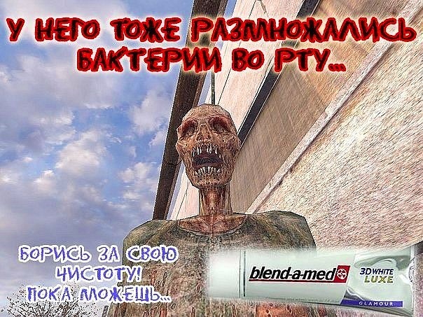 Фанатам игры С.Т.А.Л.К.Е.Р посвящается