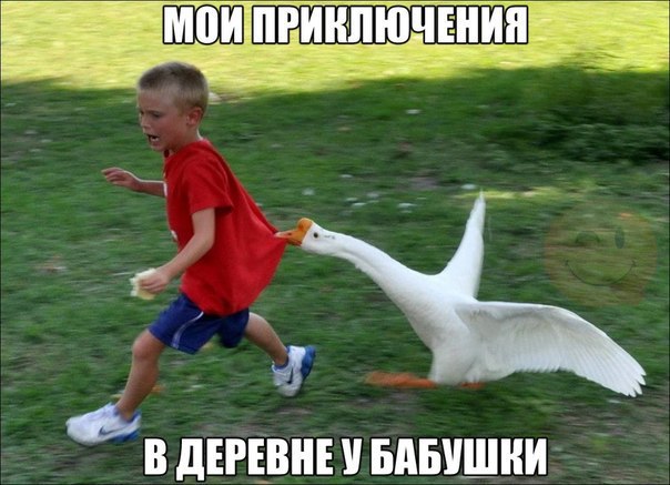 Интересные и веселые картинки
