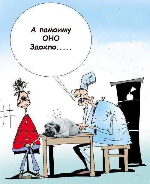 Фотожаба: Доктор за работой