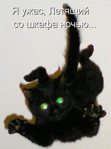 Прикольные животные