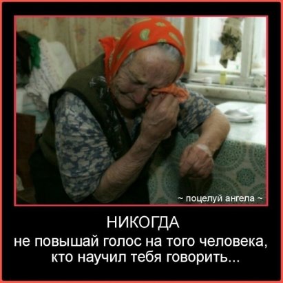 Порция картинок из сети