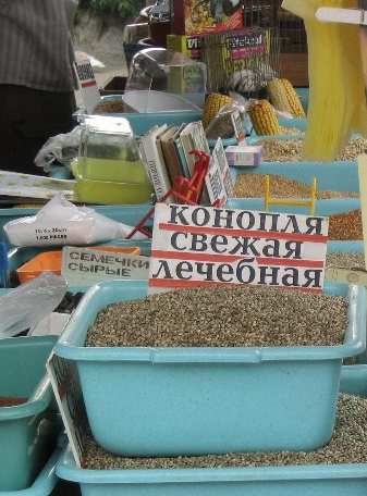 Олег Газманов – о Майкле Фелпсе: «Наличие наркомана на Играх разрывает мое сердце»