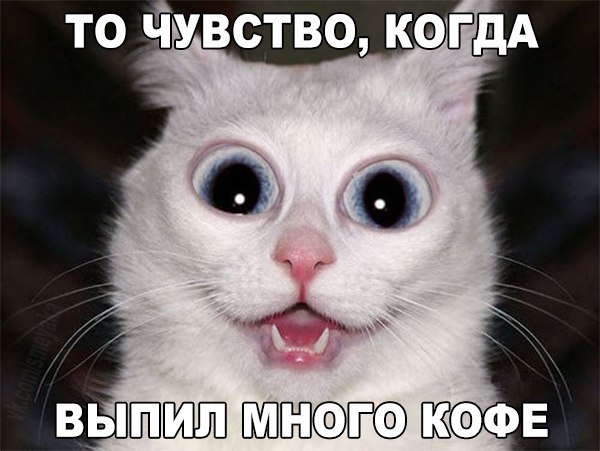 Соцсети - и смех и грех