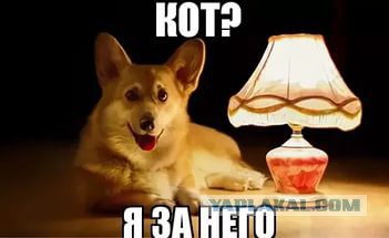 Подслушано сегодня
