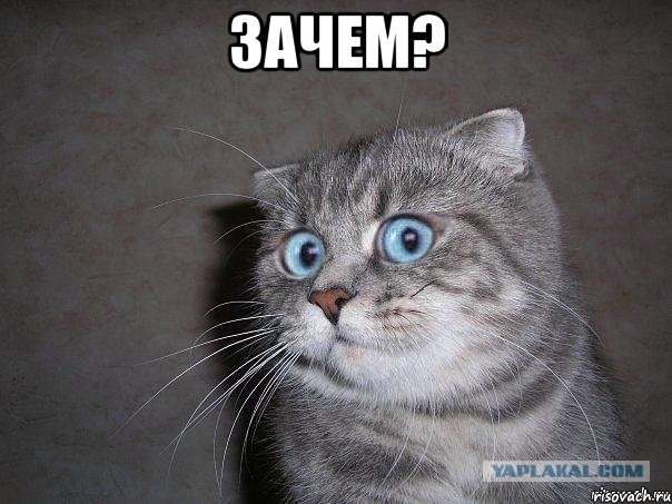 Новый Лексус 570 под нож! Переделка нового авто под проект
