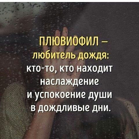 Веселые надписи и картинки